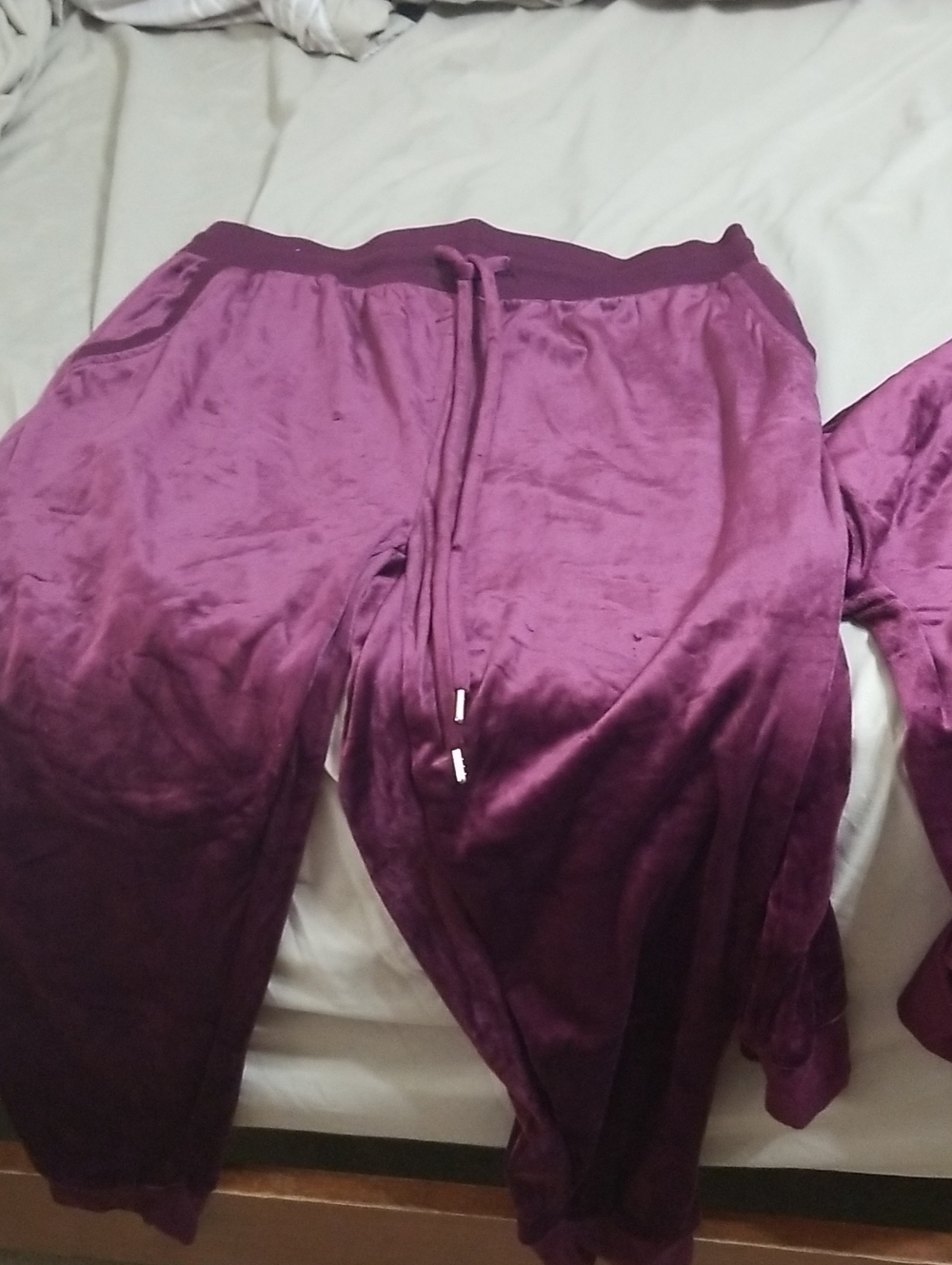 Plush Velvet Jogger Pants in Deep Plum With Matching Hoodie
